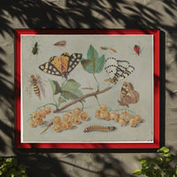 Insect and Foliage Vintage Botanical Illustration Educational Poster