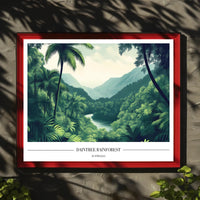 Daintree Rainforest Tranquil Nature National Park Poster