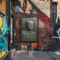 Donald Trump 47th President Poster