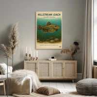 Hillstream Loach Sewellia lineolata Poster PosterGoat