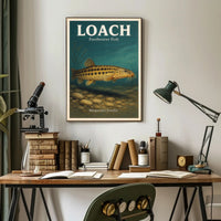 Loach Freshwater Fish Poster PosterGoat