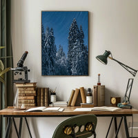 Winter Night Star Trails Forest Art Poster
