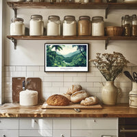 Daintree Rainforest Tranquil Nature National Park Poster