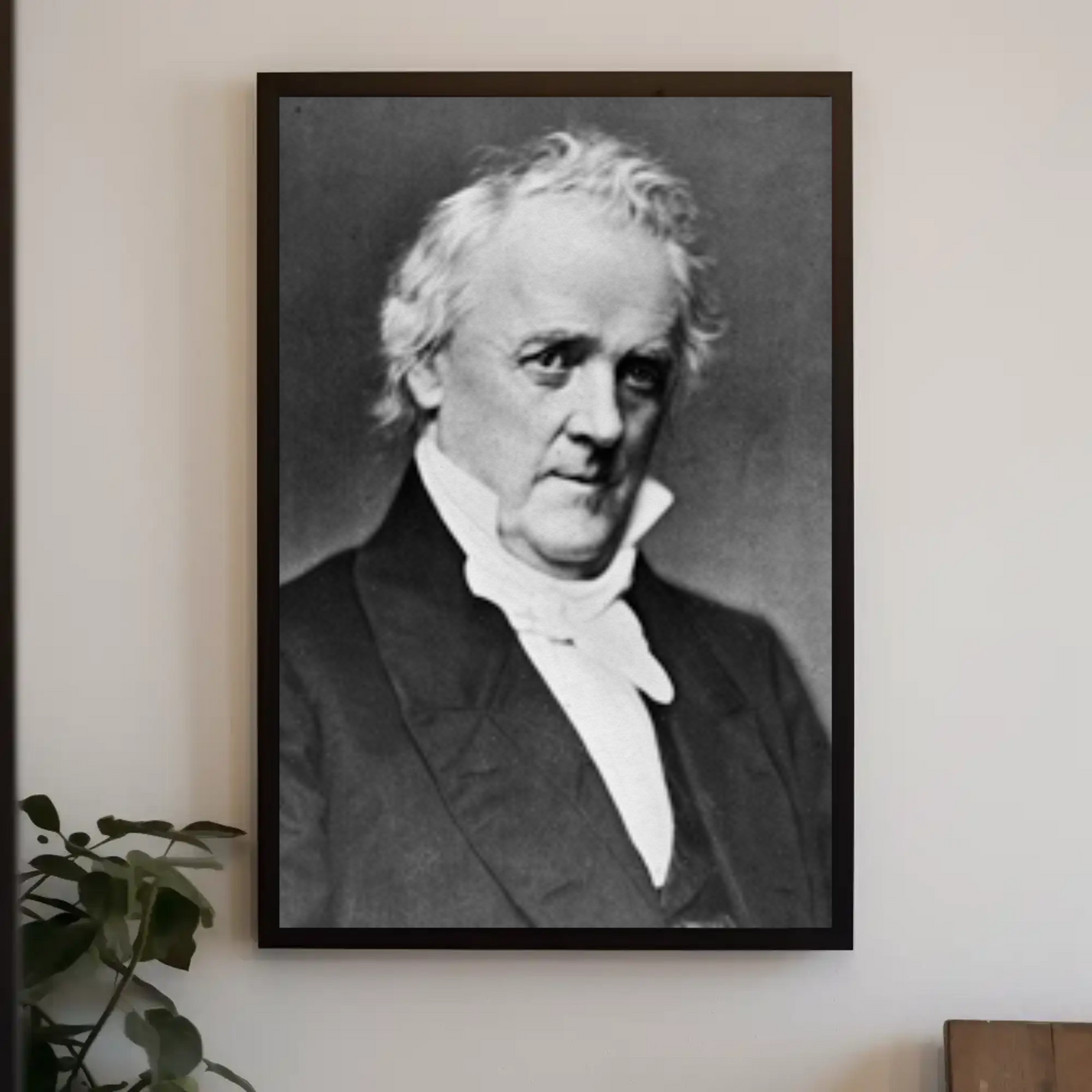 James Buchanan 15th President Of The United States Photo
