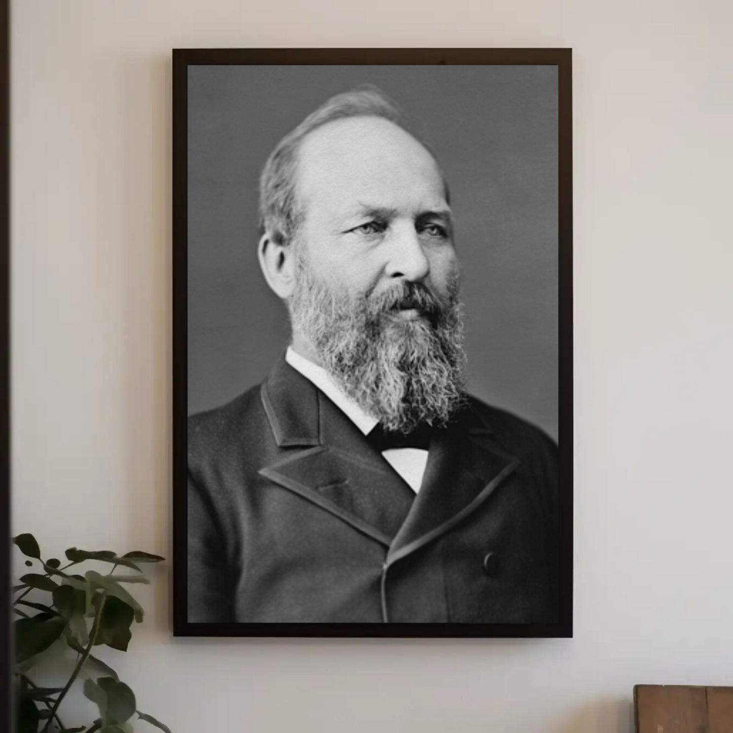 James Garfield 20th President Of The United States Photo