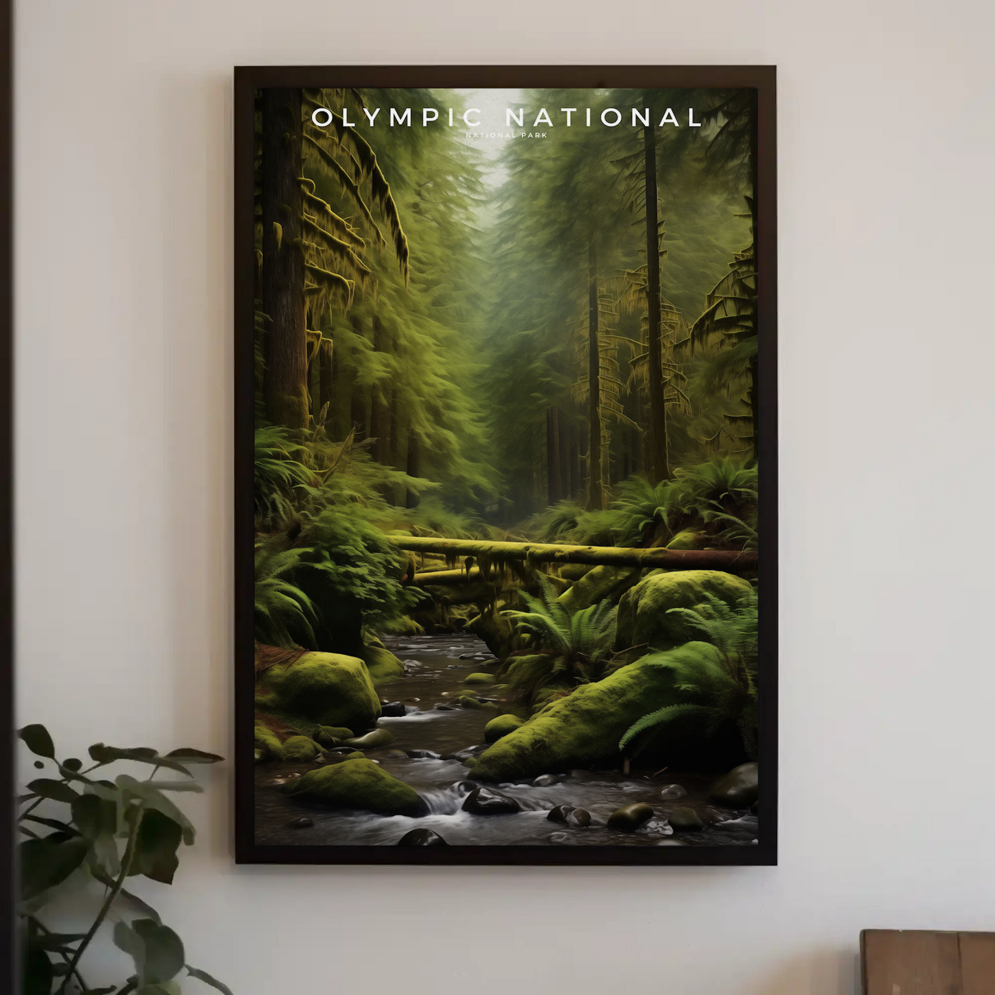 Olympic National Park Poster