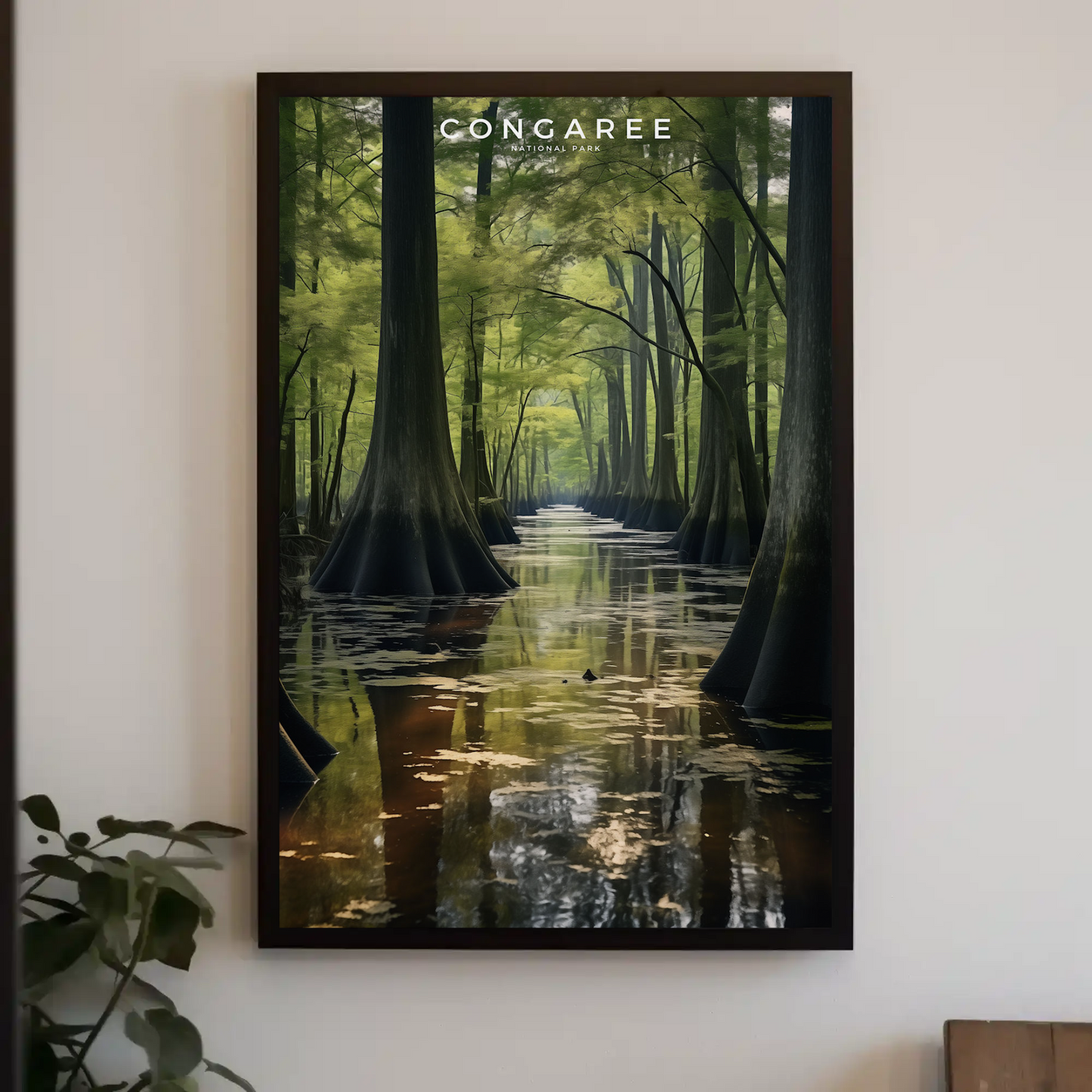 Congaree National Park