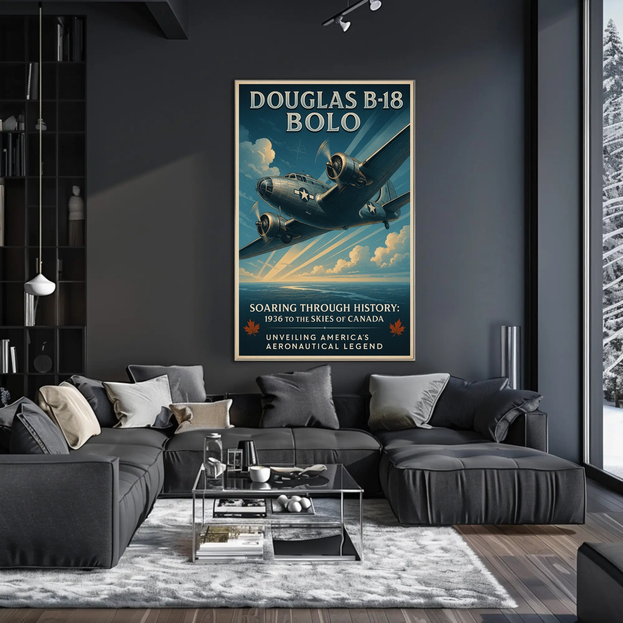 Douglas B18 Bolo Vintage Poster Print Aviation Wall Art