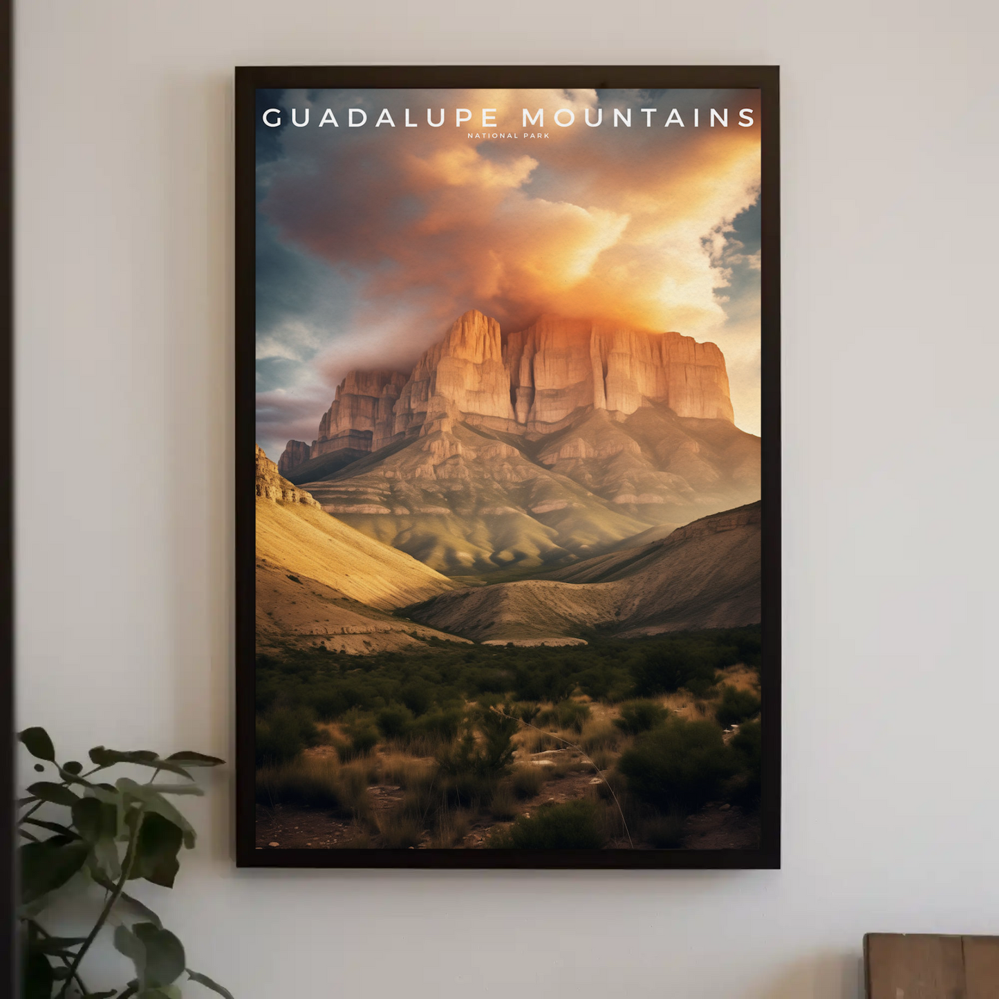 Guadalupe Mountains National Park Poster