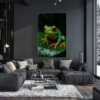 Vibrant Rainforest Frog Poster