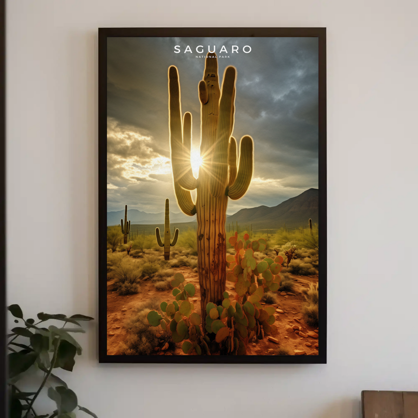 Saguaro National Park Poster