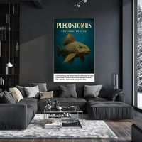Plecostomus Freshwater Fish Poster