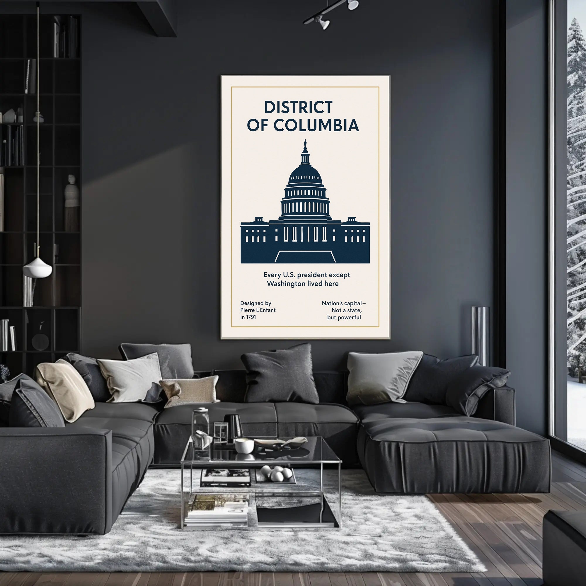 Washington D.C. The Nation’s Capital Poster