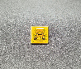 Official Woodward Dream Cruise Lapel Pin WDC You Pick (1996-2024)