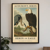 Audubon's Heron and Eagle Animal Poster PosterGoat