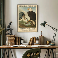 Audubon's Heron and Eagle Animal Poster PosterGoat