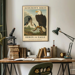 Audubon's Heron and Eagle Animal Poster PosterGoat