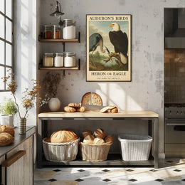Audubon's Heron and Eagle Animal Poster PosterGoat
