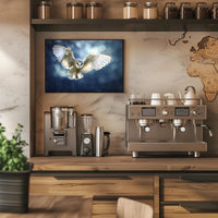 Barn Owl in Flight Graceful Animal Poster PosterGoat