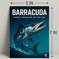 Barracuda Sea Life Poster Wall Art Decor PosterGoat