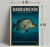 Barramundi Natural Beauty Wall Art Print PosterGoat