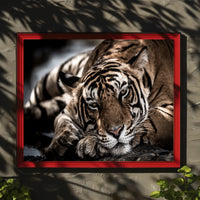 Bengal Tiger Wilderness Scene: Majestic Animal Poster PosterGoat
