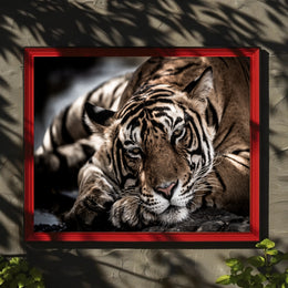 Bengal Tiger Wilderness Scene: Majestic Animal Poster PosterGoat