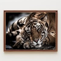 Bengal Tiger Wilderness Scene: Majestic Animal Poster PosterGoat