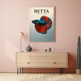 Betta Siamese Fighting Fish Poster PosterGoat