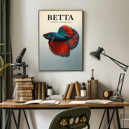 Betta Siamese Fighting Fish Poster PosterGoat