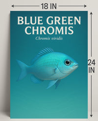 Blue Green Chromis Wall Art Print Decor PosterGoat