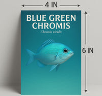 Blue Green Chromis Wall Art Print Decor PosterGoat