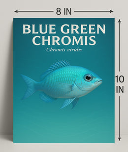 Blue Green Chromis Wall Art Print Decor PosterGoat