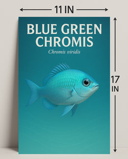 Blue Green Chromis Wall Art Print Decor PosterGoat
