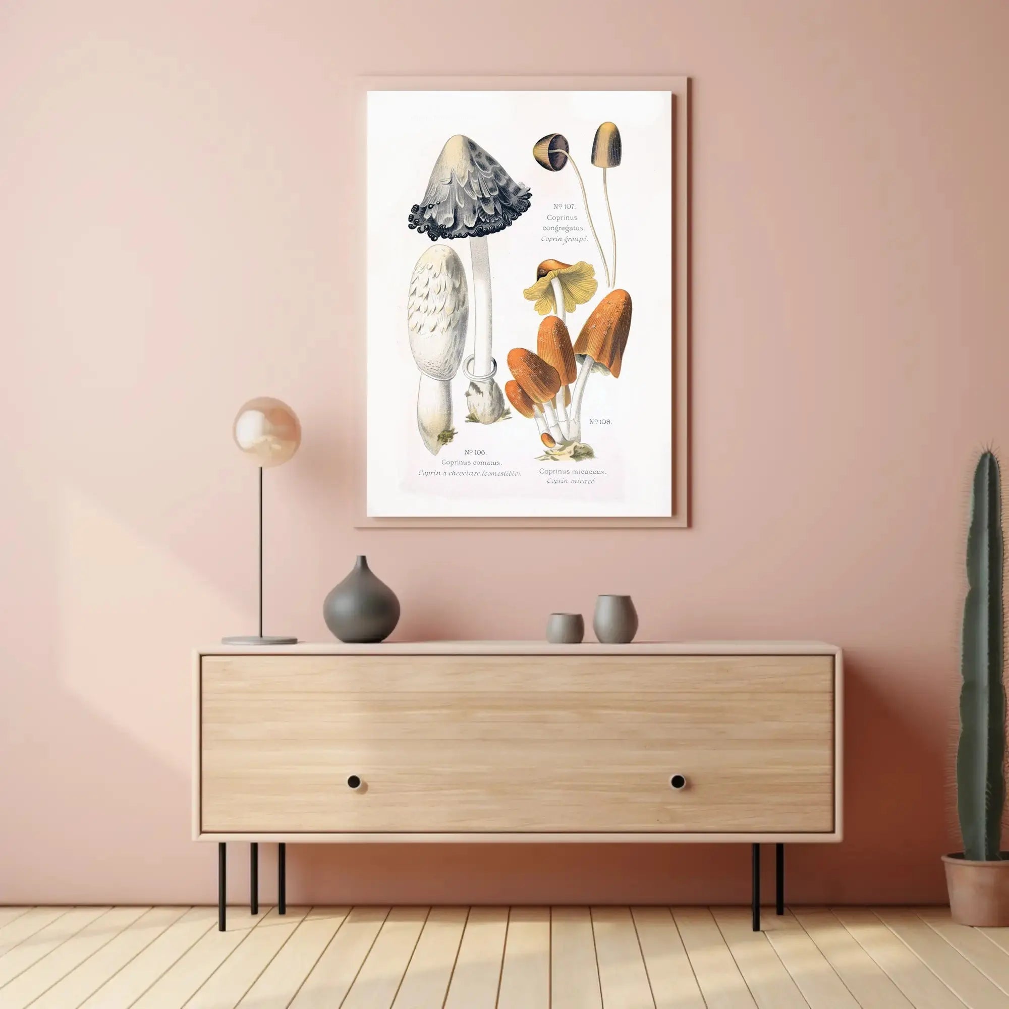 Botanical Illustration of Coprinus Mushrooms: Cultural or Heritage Poster PosterGoat
