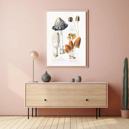 Botanical Illustration of Coprinus Mushrooms: Cultural or Heritage Poster PosterGoat