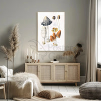 Botanical Illustration of Coprinus Mushrooms: Cultural or Heritage Poster PosterGoat