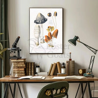 Botanical Illustration of Coprinus Mushrooms: Cultural or Heritage Poster PosterGoat