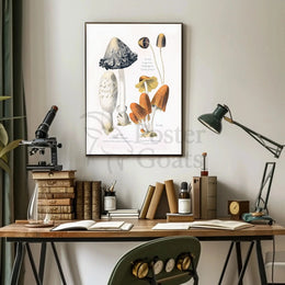 Botanical Illustration of Coprinus Mushrooms: Cultural or Heritage Poster PosterGoat