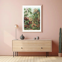 Botanical Wonders: Vintage Natural History Poster PosterGoat