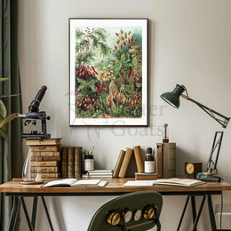 Botanical Wonders: Vintage Natural History Poster PosterGoat
