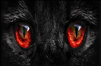 Cat Eyes Art Print, Animal Poster PosterGoat
