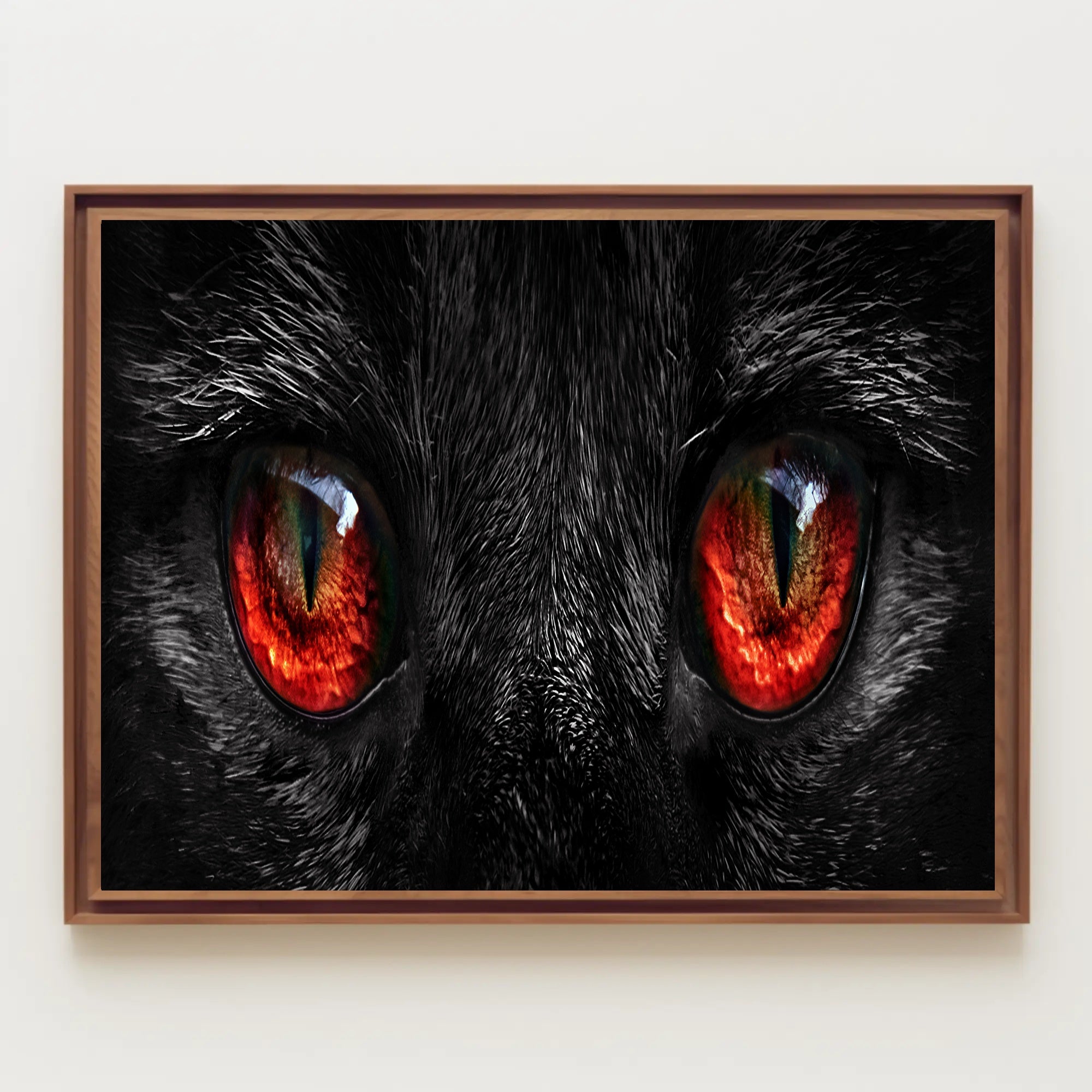 Cat Eyes Art Print, Animal Poster PosterGoat