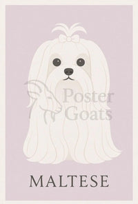 Charming Maltese Elegance in Minimalist Dog Breed Poster PosterGoat