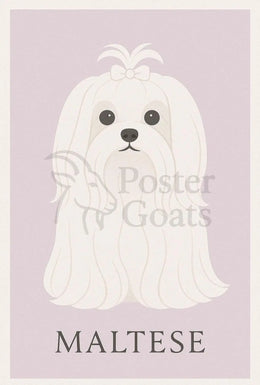 Charming Maltese Elegance in Minimalist Dog Breed Poster PosterGoat