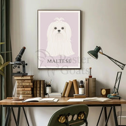 Charming Maltese Elegance in Minimalist Dog Breed Poster PosterGoat