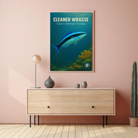 Cleaner Wrasse Natures Underwater Custodian Poster PosterGoat