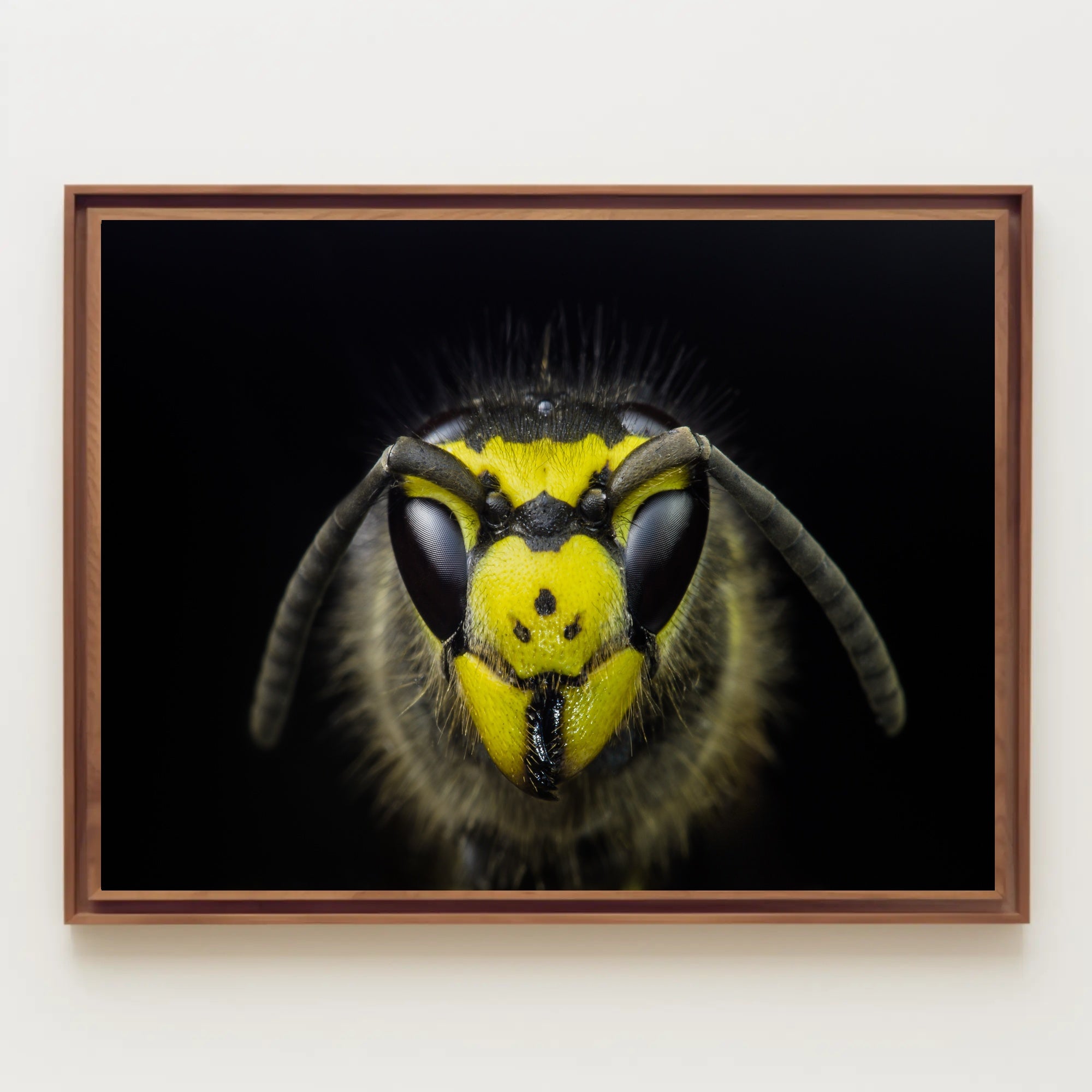 Close-Up Detailed Wasp Face Ultra HD Animal Poster PosterGoat