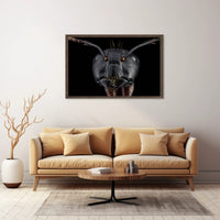 Close-Up Macro Ant Art Print Animal Poster PosterGoat
