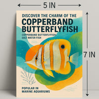 Copperband Butterflyfish Poster Art Print PosterGoat